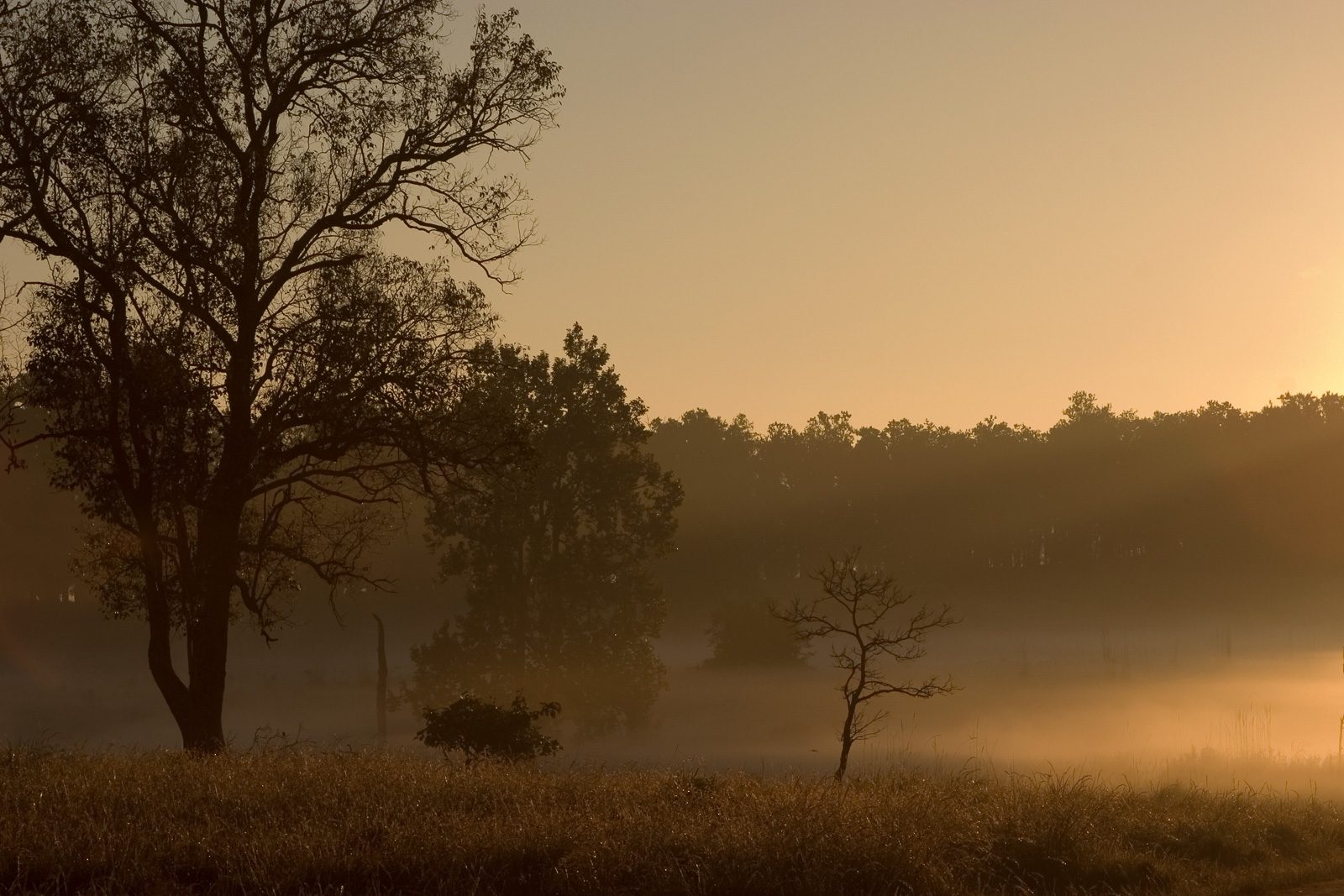 Kanha Tiger Reserve