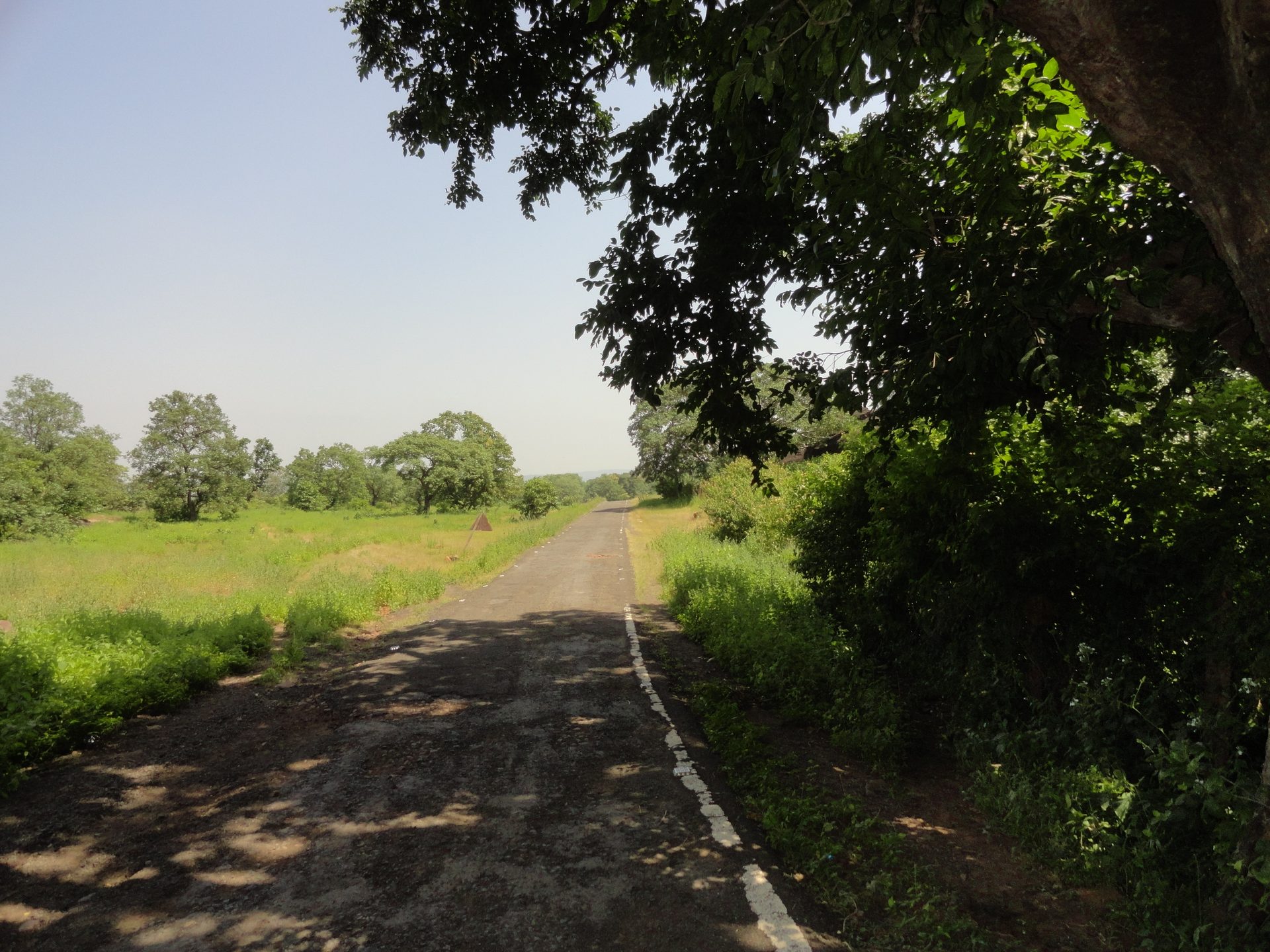 Ratapani Tiger Reserve